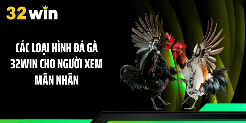 Các loại hình đá gà 32WIN cho người xem mãn nhãn